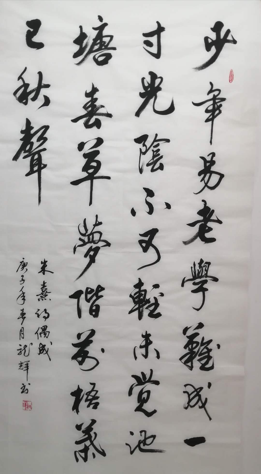 鷨ʫż