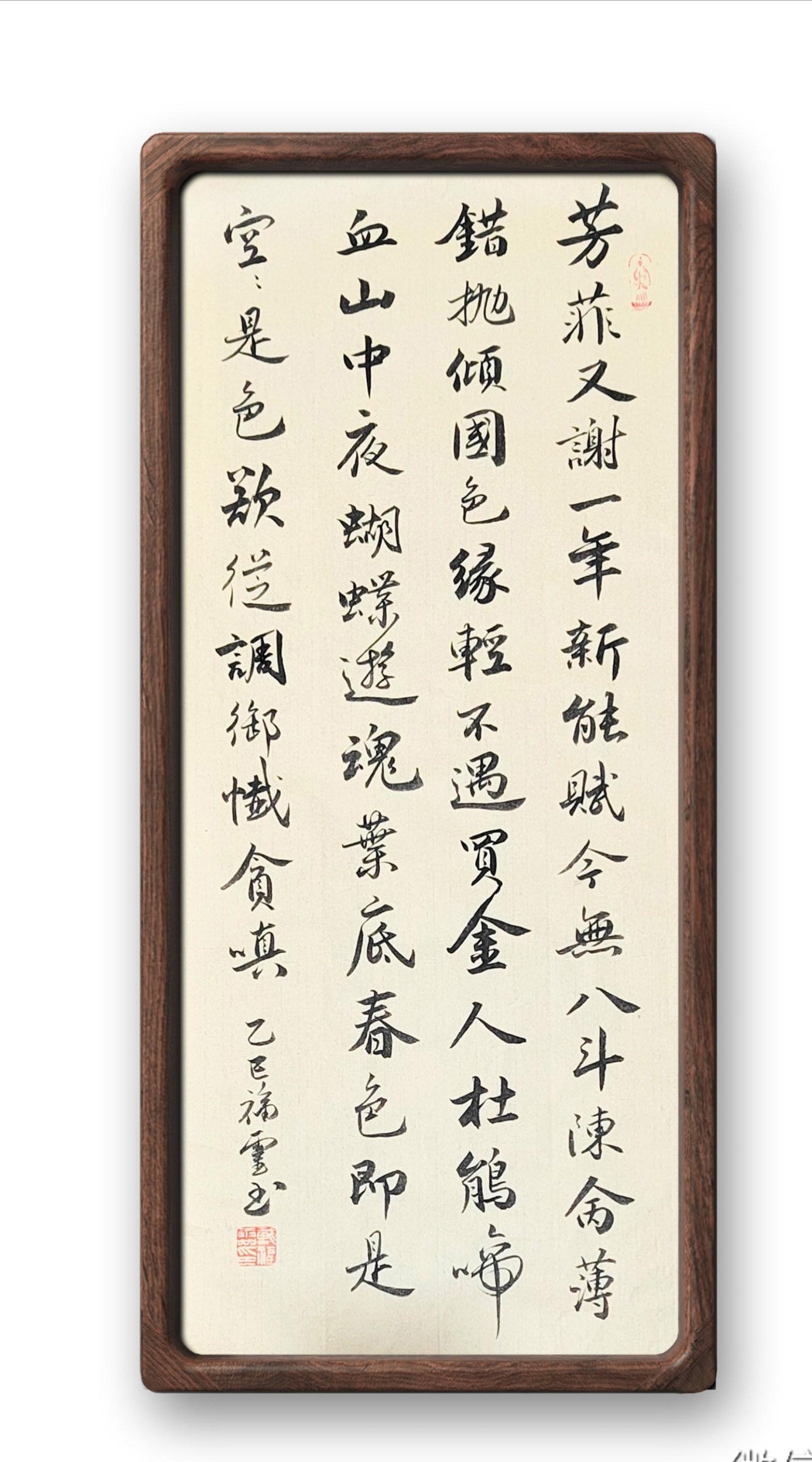 鷨鷨Ʒ